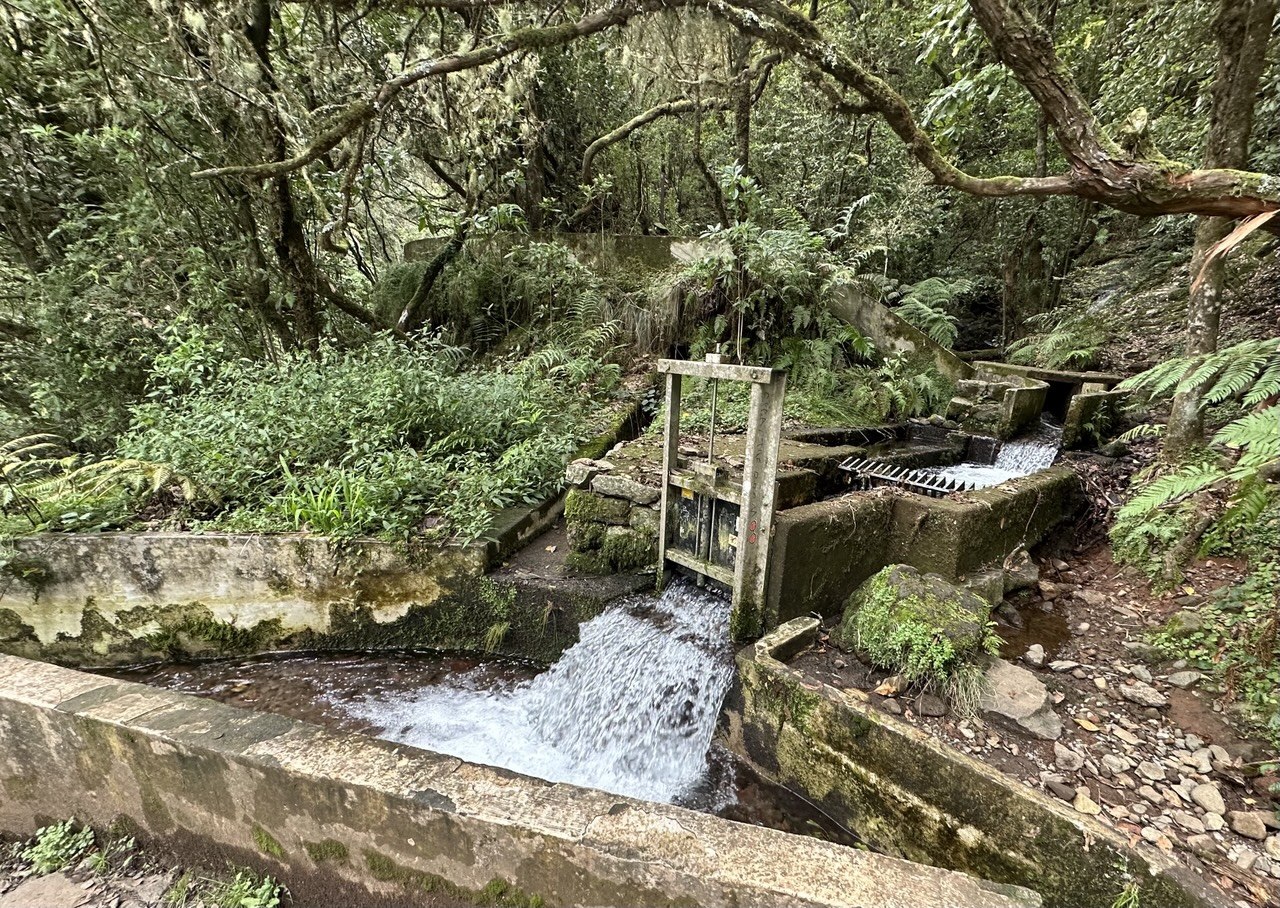 Wasserwirtschaft